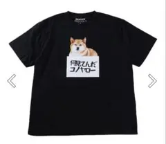 新品未使用 タグ付き 柴犬 Tシャツ