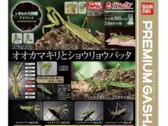 いきもの大図鑑アドバンス オオカマキリ ショウリョウバッタ - メルカリ