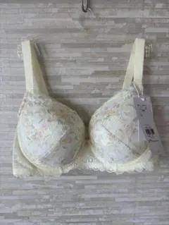 E80」トリンプ プレミアム レッドレーベル クチナシの花 ブラジャー