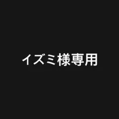 イズミ様 リクエスト 2点 まとめ商品