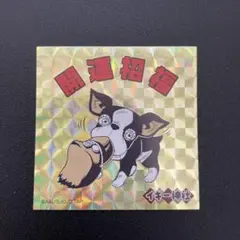 イギー キャラクターグッズ