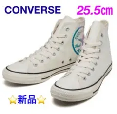 CONVERSE  AS DAMAGETEE HI　WHITE  25.5㎝