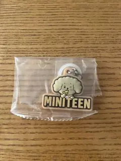 SEVENTEEN MINITEEN ミニティーンぷっくりめじるしアクセサリー