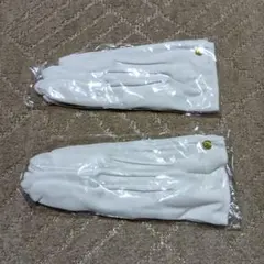 Item thumbnail for item c94b41f8-3a47-4771-9918-b272b47d87c0