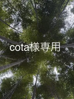 cota様専用ページ