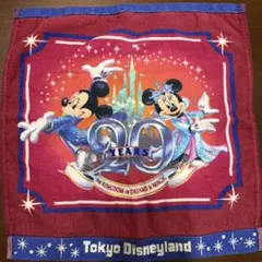 東京ディズニーランド 20周年タオル