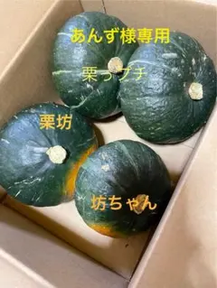 あんず様専用
