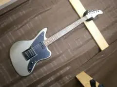 2026年最新】fernandes JGの人気アイテム - メルカリ