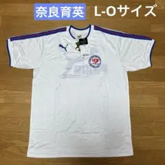 Item thumbnail for item 90901d8e-8a3b-427d-b4ca-8e12afe39be5