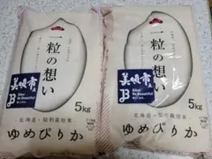 【7月上旬精米】北海道 ゆめぴりか 5kg×2袋　10kg 美唄市産のサムネイル