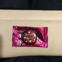 スダンナ ミニ缶バッチ