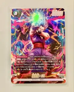 【レア新商品‼️】ドラゴンボールカード　FB09-060 孫悟飯:SH 即日発送