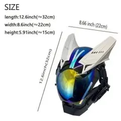 Item thumbnail for item d5c8a129-e14f-447f-959b-6063fde2bc18