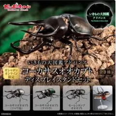 326 いきもの大図鑑アドバンス コーカサスオオカブト オンライン版 コンプ①