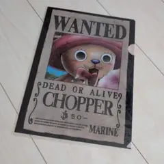 ONE PIECE チョッパー クリアファイル