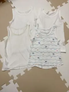 Item thumbnail for item c0924481-a5da-4733-83d5-8c9c3e441a68