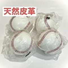 ミズノ 天然皮革サインボール 4個セット