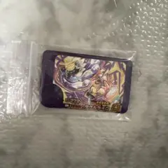 ポケモンフレンダ タケルライコ