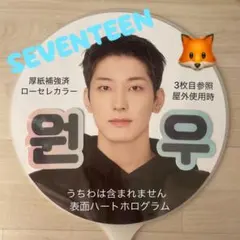 ファンサ　うちわ文字　ウォヌ　SEVENTEEN セブチのサムネイル
