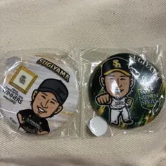 와카타카 가챠 杉山