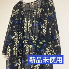 Item thumbnail for item 41b80ff8-168d-4b59-865a-508d7cca6b2f