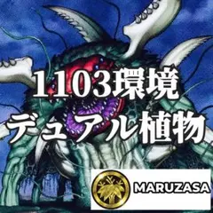 遊戯王　デュアル植物　デッキ　1103環境　パワーツールドラゴン　アームズエイド