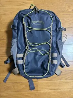 Patagonia ブラックホール・ミニ・MLC 30L グリーン 傷、汚れあり