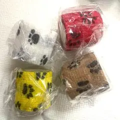 Item thumbnail for item 9a946996-65fc-4012-8ae3-bb7849fe487e