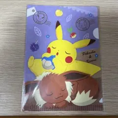 ポケモン ピカチュウ＆イーブイ ミニクリアファイル