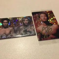 Item thumbnail for item 1624ddb9-2988-4845-96e5-6bace63d05d6