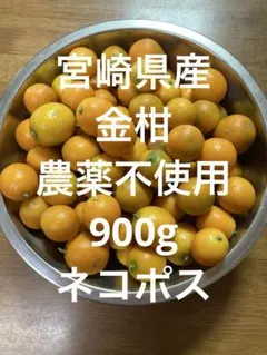 宮崎県産　金柑農薬不使用900gネコポス