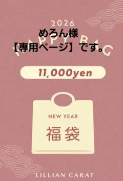 2026年最新】リリアンカラット 福袋の人気アイテム - メルカリ