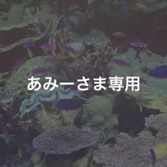 あみーさま専用