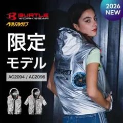 新品 BURTLE AC2096L サイドバック Lサイズ メタリックシルバー - メルカリ