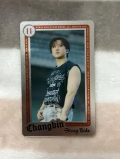 Straykids ランダムライブフォトカード チャンビン