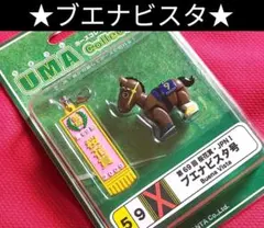 2025年最新】ブエナビスタ 競馬の人気アイテム - メルカリ