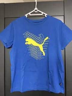 PUMA 青 Tシャツ