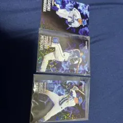 Item thumbnail for item 18a5dfa6-48f1-4d54-a483-ea441b5a4149