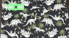 ランチョンマット 大きめランチョンマット ハンドメイド　恐竜柄