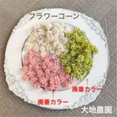 済　koko様　ご専用