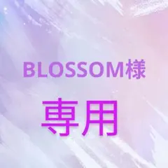 BLOSSOM様 リクエスト 2点 まとめ商品
