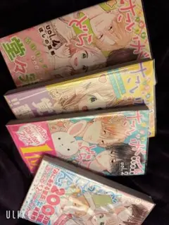たいがー＆どらごん 4巻セット