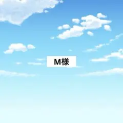 アメステM様