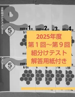 四谷大塚 2025年度 組分けテスト 第1回～第９回 解答用紙付き ５年