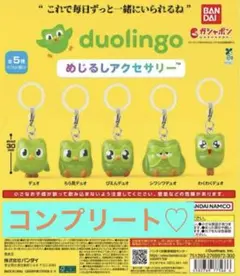 duolingo めじるしアクセサリー 全5種　コンプリートセット