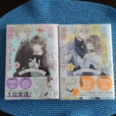 「きみを愛する気はない」と言った次期公爵様がなぜか溺愛してきます 2と3巻セット