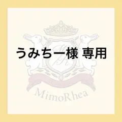 うみちー様 専用★相談★のサムネイル