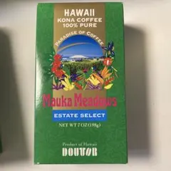 ディズニーアドベンチャークルーズ バシャコーヒー アラジン限定
