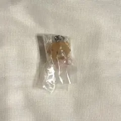 【即日発送可能】 mikko ラテ めじるしアクセサリー ガチャガチャ