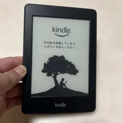 第10世代 Kindle Paperwhite 32GB ブルー 広告つき - メルカリ